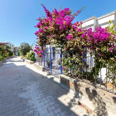 Lovely House With Astonishing View In Gumusluk Apartment Gumusluk